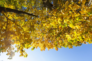 Similar image 13047182