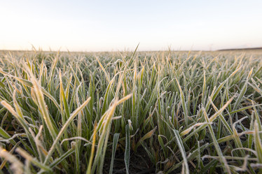 Similar image 13047203