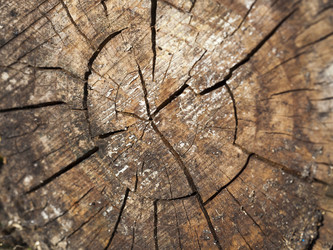 Similar image 13047224