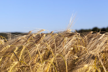 Similar image 13047242