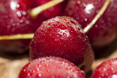 Similar image 13047262