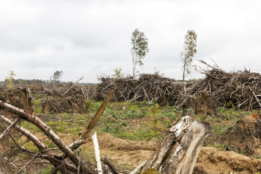 Similar image 13047484