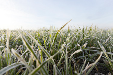 Similar image 13047503