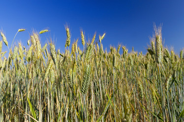 Similar image 13047524