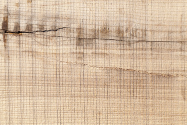 Similar image 13047545