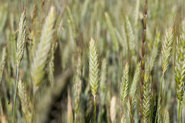 Similar image 13047662