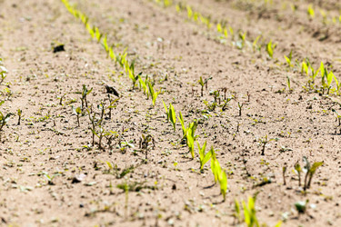 Similar image 13047723