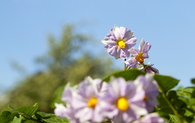 Similar image 13047724