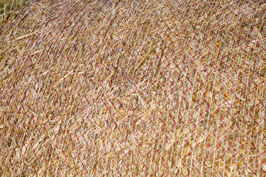 Similar image 13047743