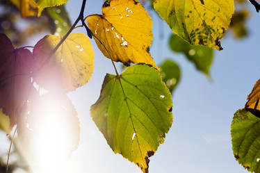 Similar image 13047865