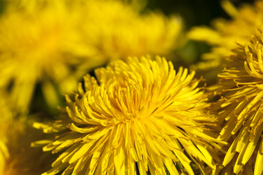 Similar image 13047942