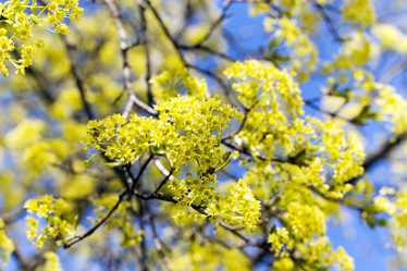 Similar image 13047264