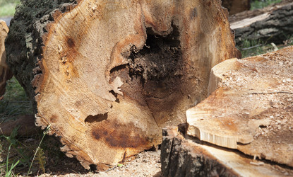 Similar image 13047424