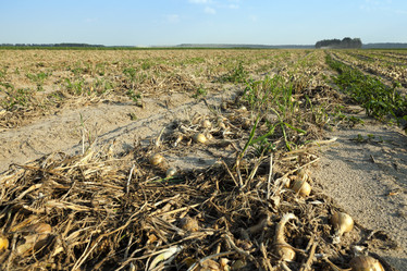 Similar image 13047506