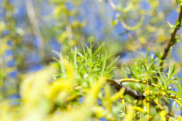 Similar image 13047565