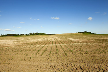 Similar image 13047782