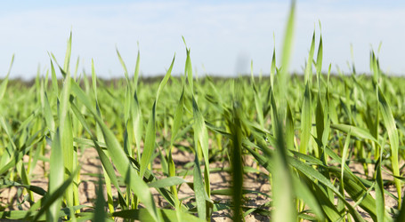 Similar image 13047843