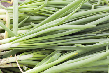 Similar image 13047148