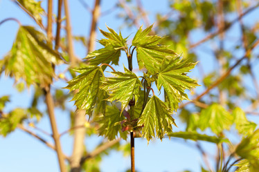 Similar image 13047285