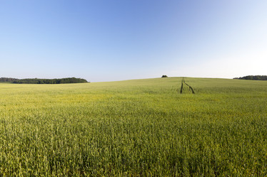 Similar image 13047378