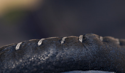 Similar image 13047406