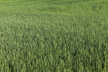 Similar image 13047448