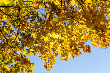 Similar image 13047468