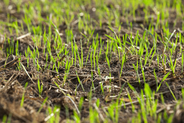 Similar image 13047567