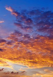 Similar image 13047607