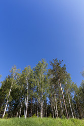 Similar image 13047683