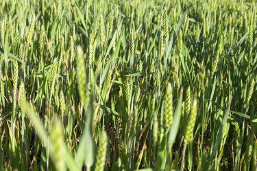 Similar image 13047682