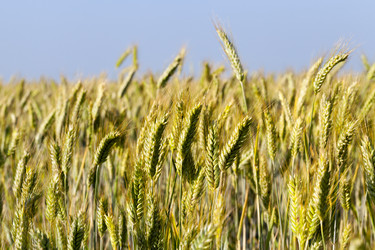 Similar image 13047706