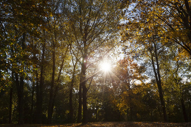 Similar image 13047946