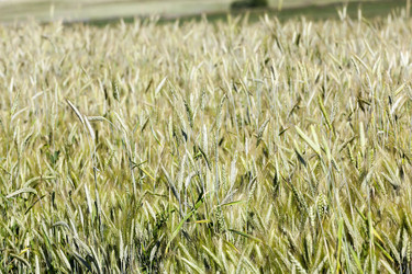 Similar image 13047327