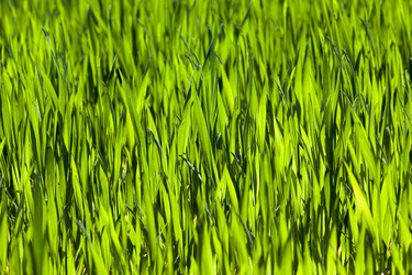 Similar image 13047661