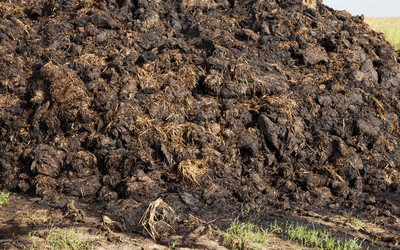 Similar image 13047768