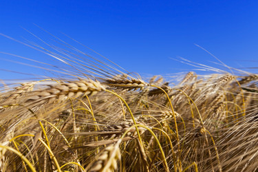 Similar image 13047808