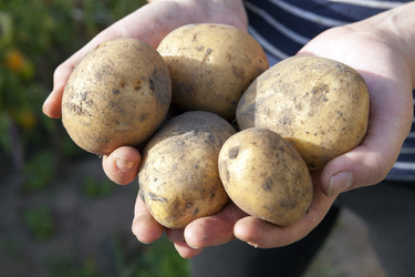 Similar image 13047827