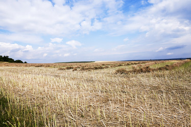 Similar image 13047868