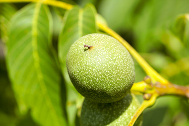 Similar image 13047886