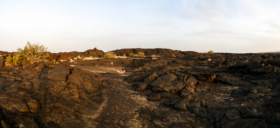 Similar image 13029071