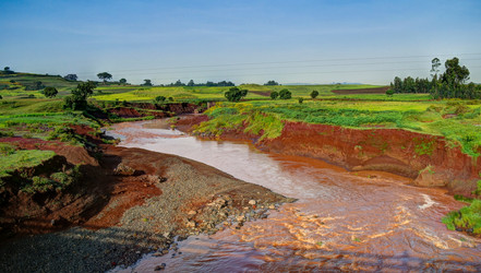 Similar image 13001409