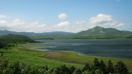 Similar image 13001364