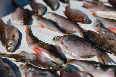 Similar image 13040013