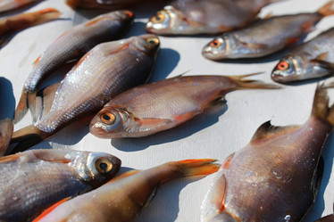 Similar image 13040014