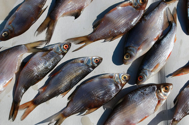 Similar image 13040015