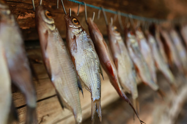 Similar image 13040016