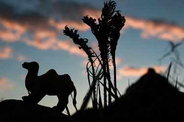 Similar image 13040031