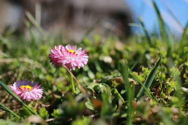 Similar image 13040034