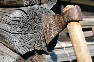 Similar image 13040036